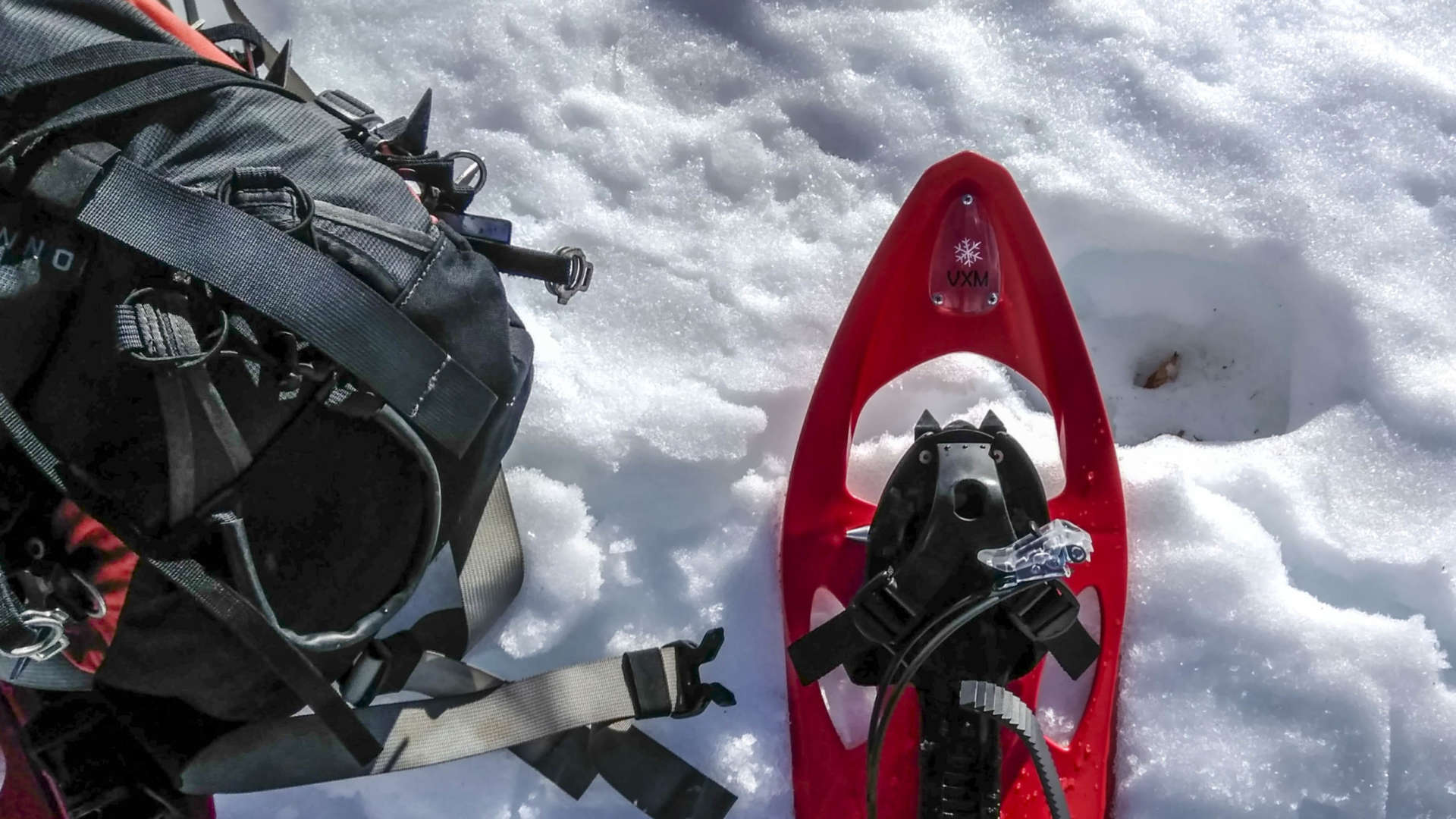 que-necesitas-para-una-excursion-con-raquetas-de-nieve Qué necesitas para una excursión con raquetas de nieve