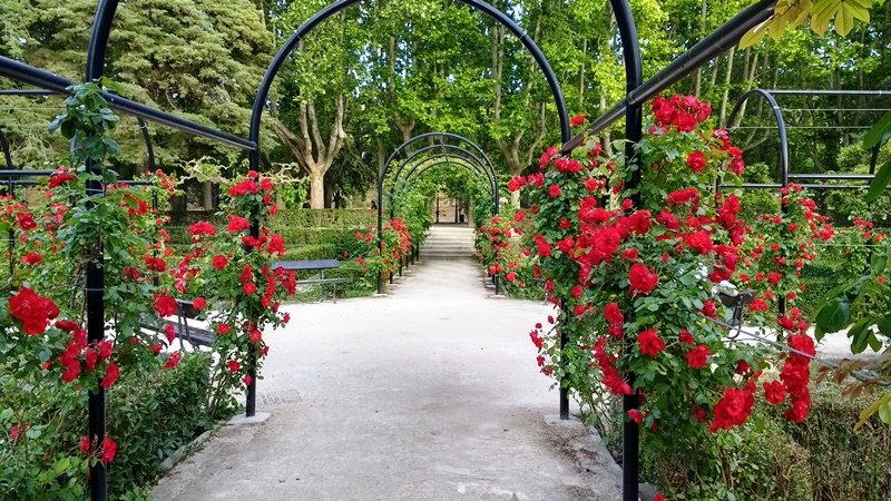 Parque grande en primavera en zaragoza es una de las mejores opciones para pasar el tiempo