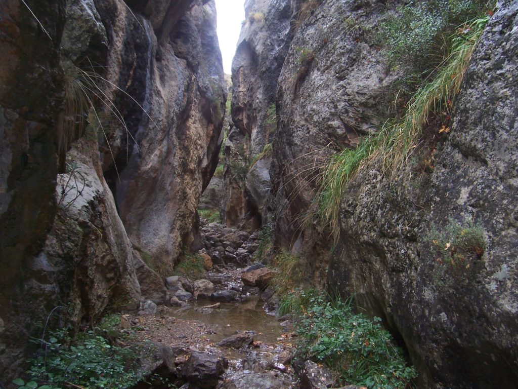 Rutas con niños por la montaña