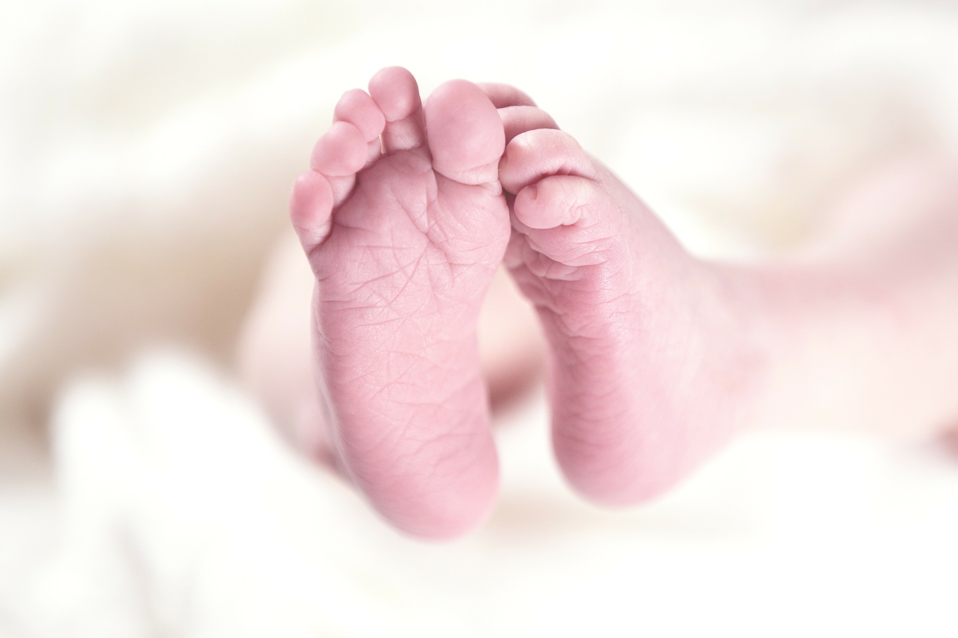 Imagen subida a Zaragoza Ciudad - baby 256857 1920