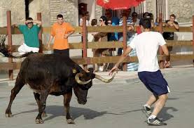 Imagen subida a Zaragoza Ciudad - vacas