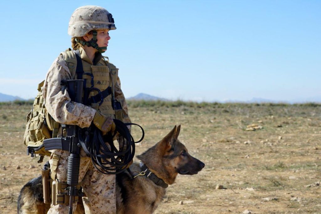 Imagen subida a Zaragoza Ciudad - Megan leavey