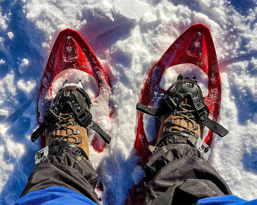 Qué necesitas para una excursión con raquetas de nieve, botas y polainas