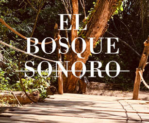 León Benavente, Stay Homas y Coque Malla actuarán en El Bosque Sonoro