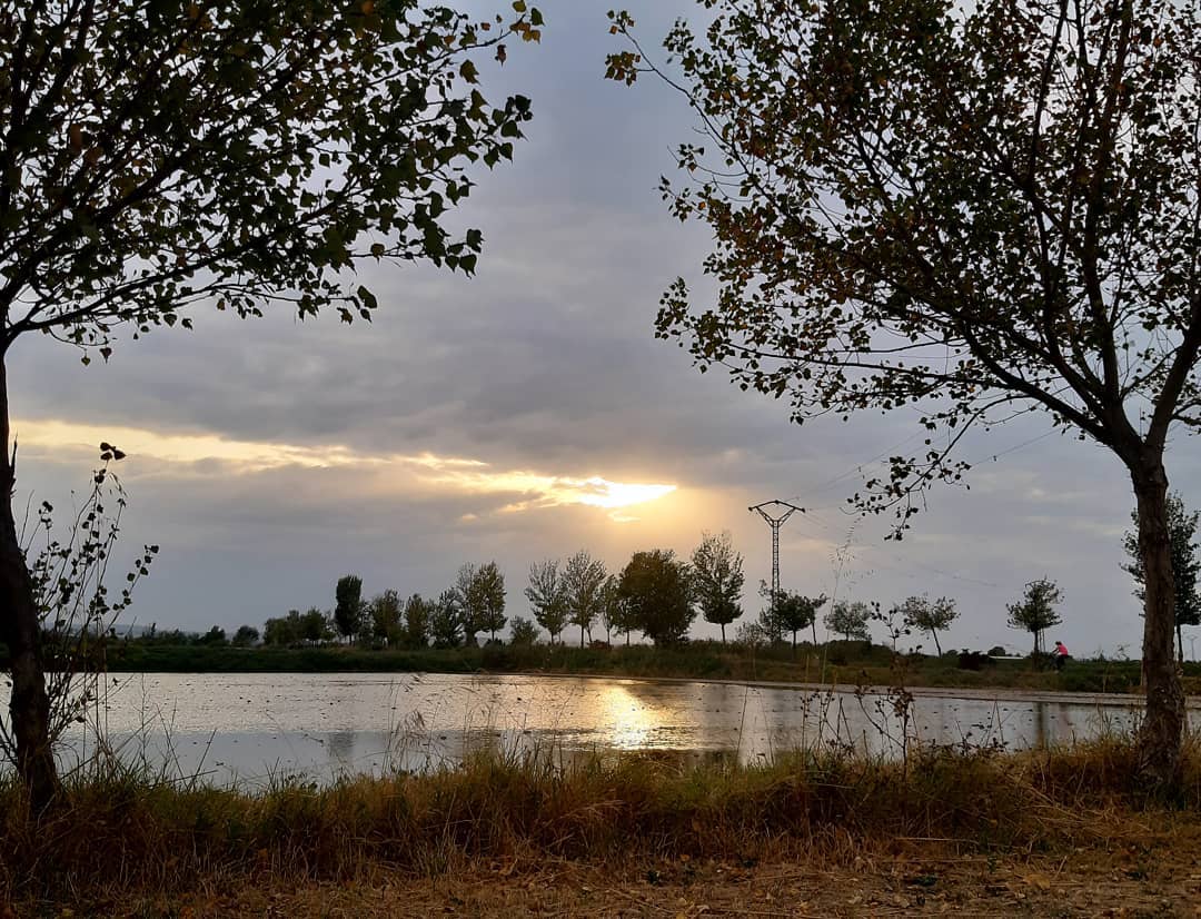 Otoño en la provincia de Zaragoza