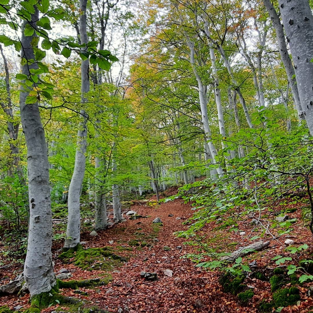 moncayo-otoño Otoño en la provincia de Zaragoza
