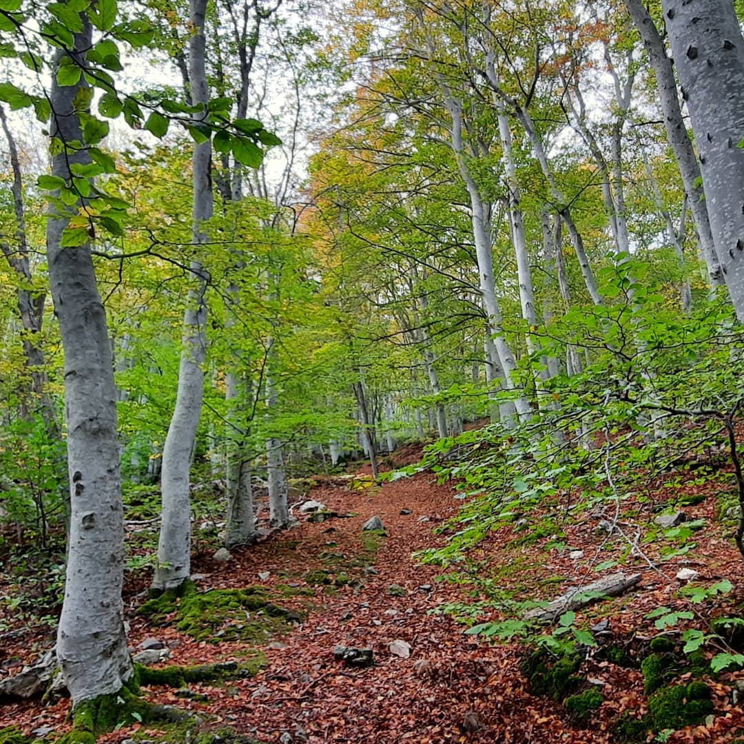 Otoño en la provincia de Zaragoza