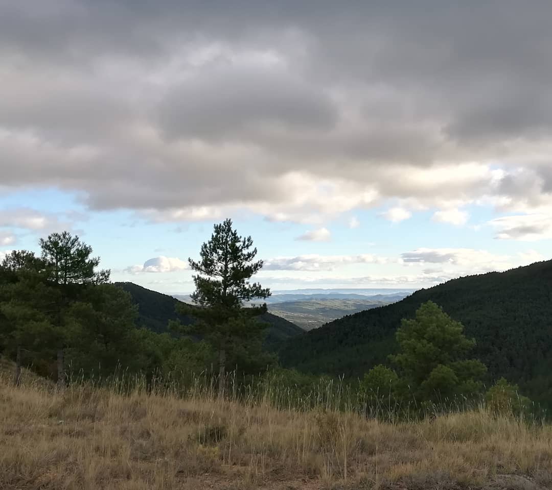 Otoño en la provincia de Zaragoza