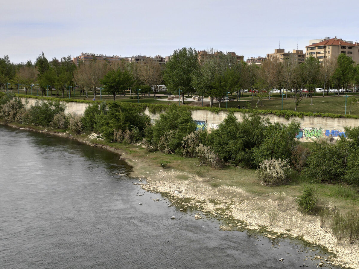 Imagen subida a Zaragoza Ciudad - actur despues 2