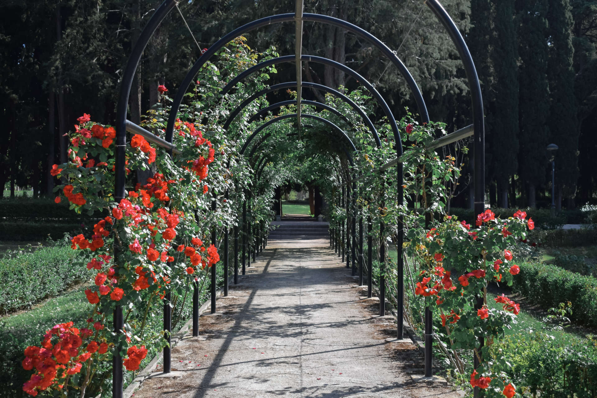 Imagen subida a Zaragoza Ciudad - Parque Grande Jose Antonio Labordeta uno de los rincones de Zaragoza que mas fotos tiene