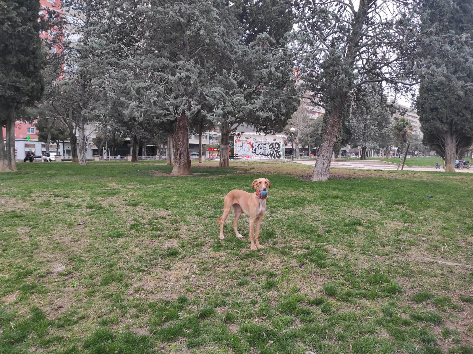 parques para perros en zaragoza