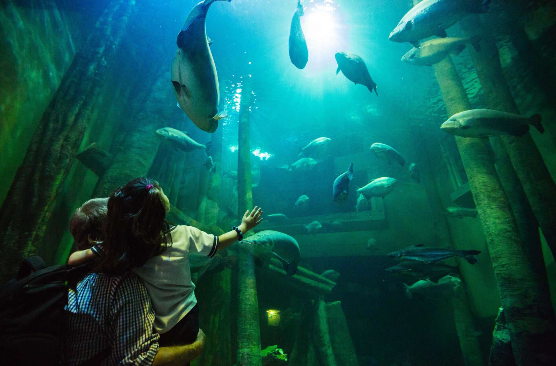 Imagen subida a Zaragoza Ciudad - home noticia acuario1