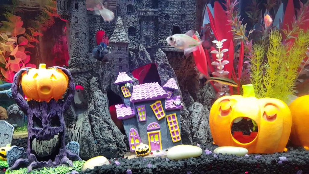 4 Planes para hacer durante Halloween en Zaragoza - El Acuario de Zaragoza también se engalana para celebrar Halloween