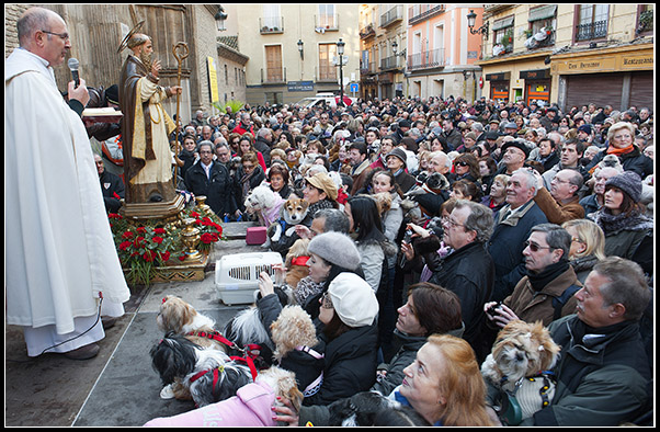 Hogueras de San Antón - Foto de primo.com.es - Párroco de la Iglesia San Pablo dando la bendición multitudinaria a los animales