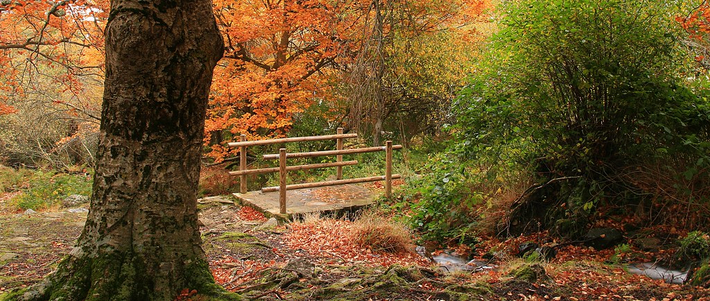 El Moncayo en otoño