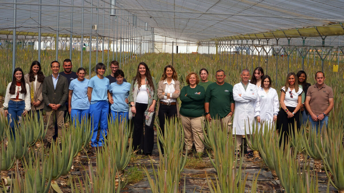 Imagen subida a Zaragoza Ciudad - ALOE VERA WEB 2