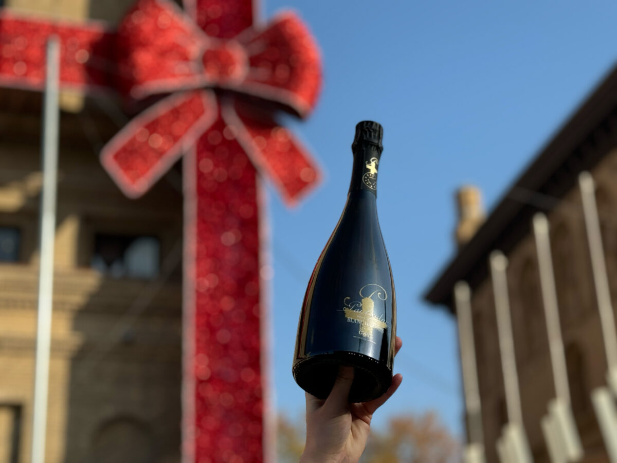 Imagen subida a Zaragoza Ciudad - Cava 3