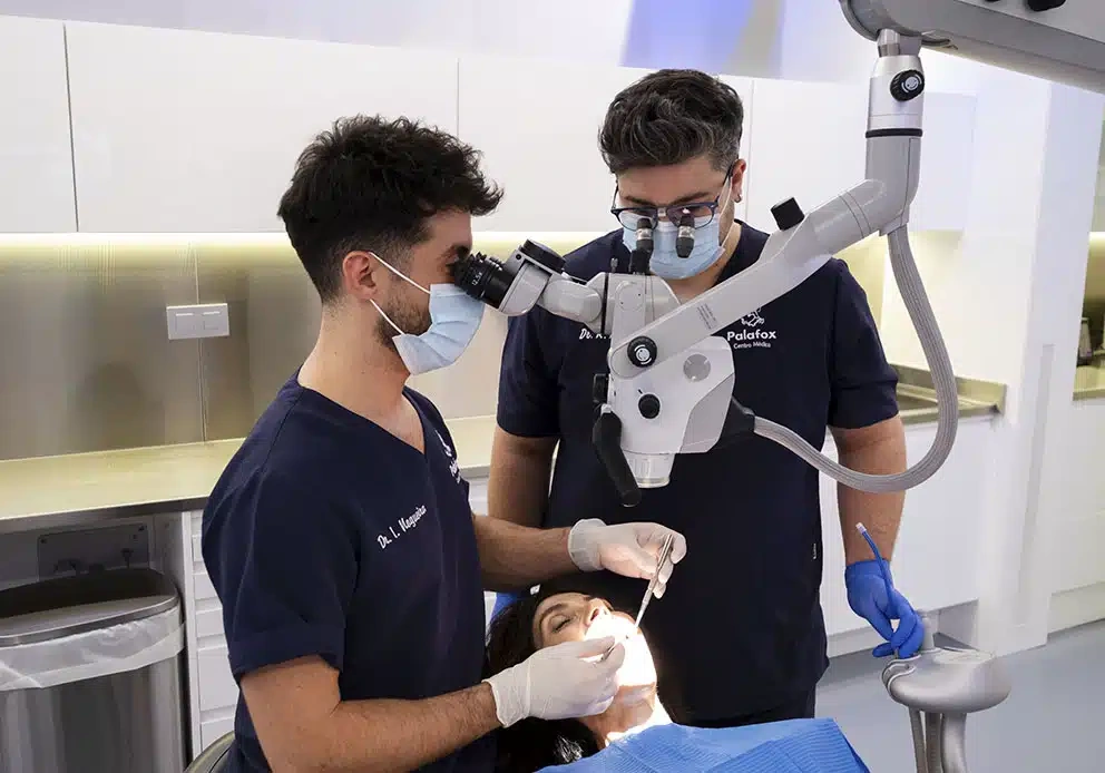 Imagen subida a Zaragoza Ciudad - ivan nogueira equipo