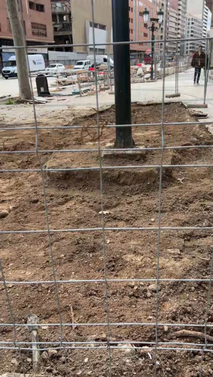 Imagen subida a Zaragoza Ciudad - IMG 1516 1