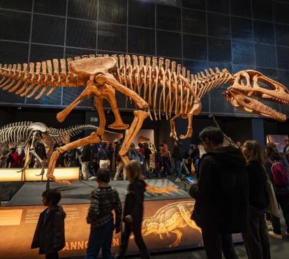 Imagen subida a Zaragoza Ciudad - image 111