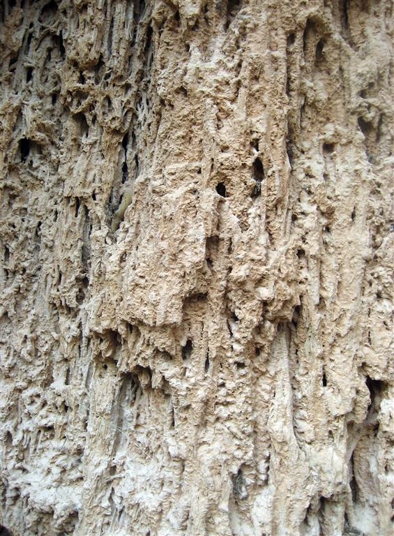 Imagen subida a Zaragoza Ciudad - image 141