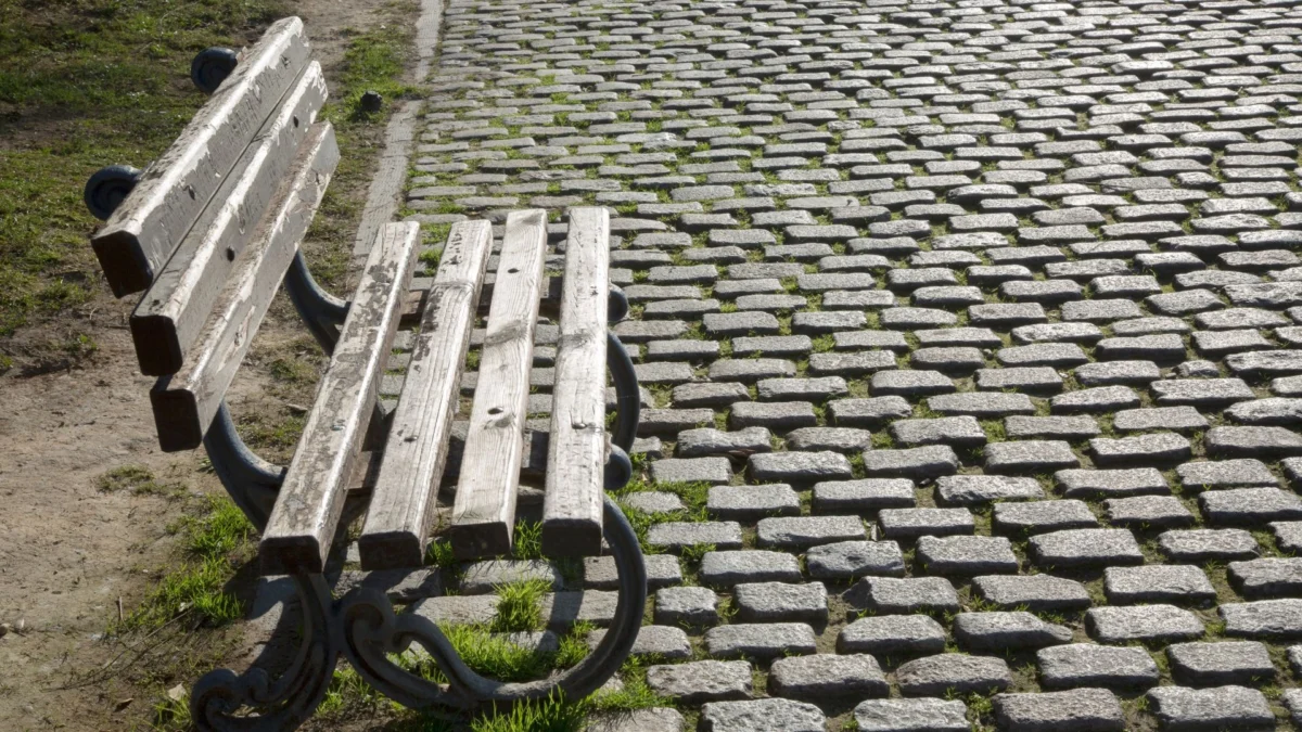 Un paseo tranquilo: escape urbano dentro de Zaragoza
