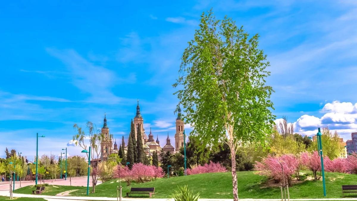 Un paseo tranquilo: escape urbano dentro de Zaragoza