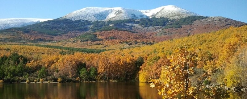 Escapadas de otoño cerca de Zaragoza: naturaleza, colores y calma muy cerca de la ciudad 2 Imagen subida a Zaragoza Ciudad - image 1