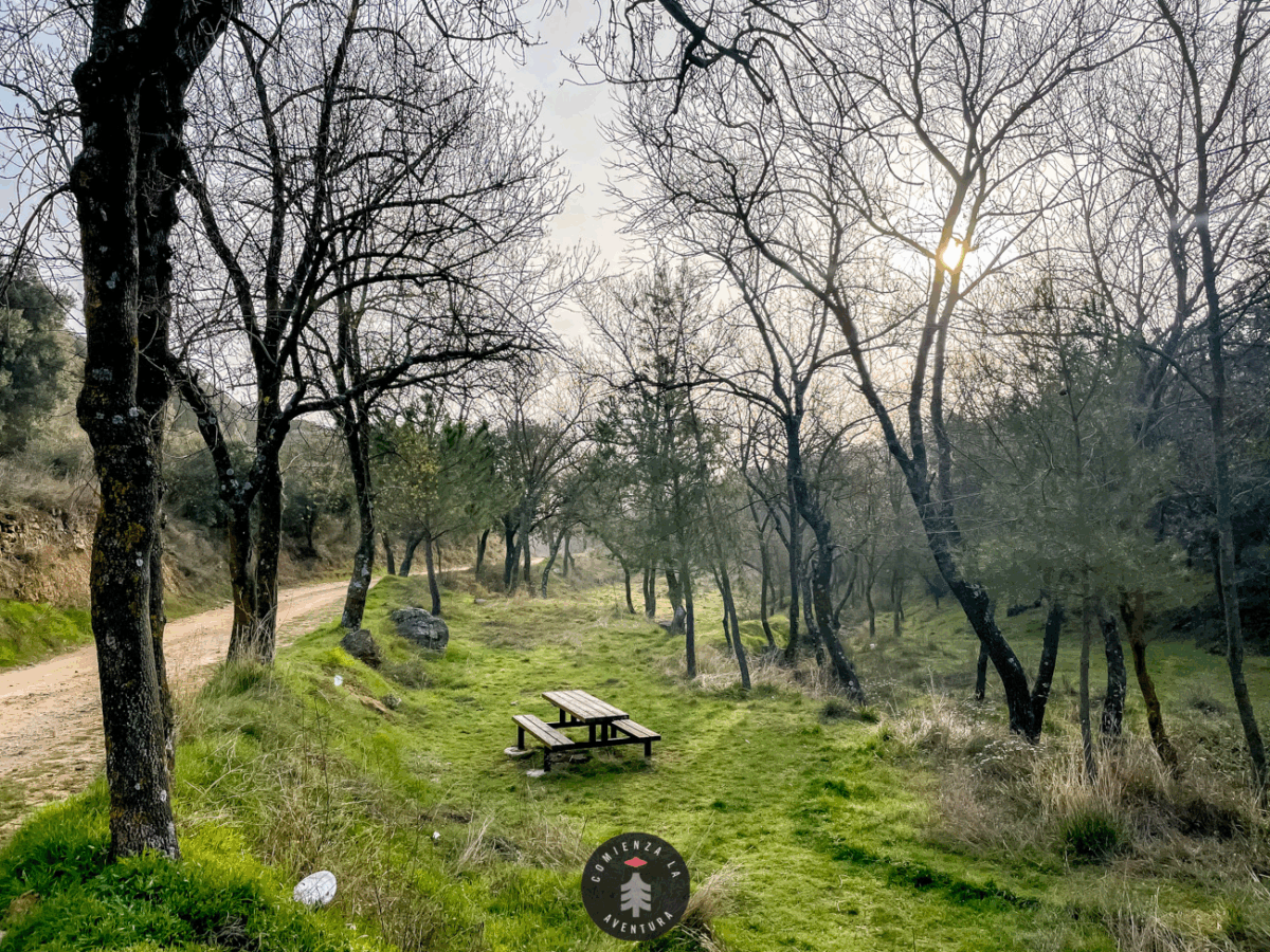 Escapadas de otoño cerca de Zaragoza: naturaleza, colores y calma muy cerca de la ciudad 5 Imagen subida a Zaragoza Ciudad - image 4