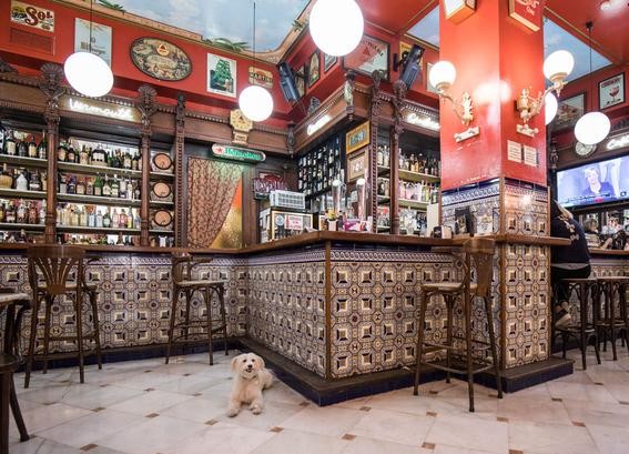 Imagen subida a Zaragoza Ciudad - caa9d834 2d15 4742 ab48