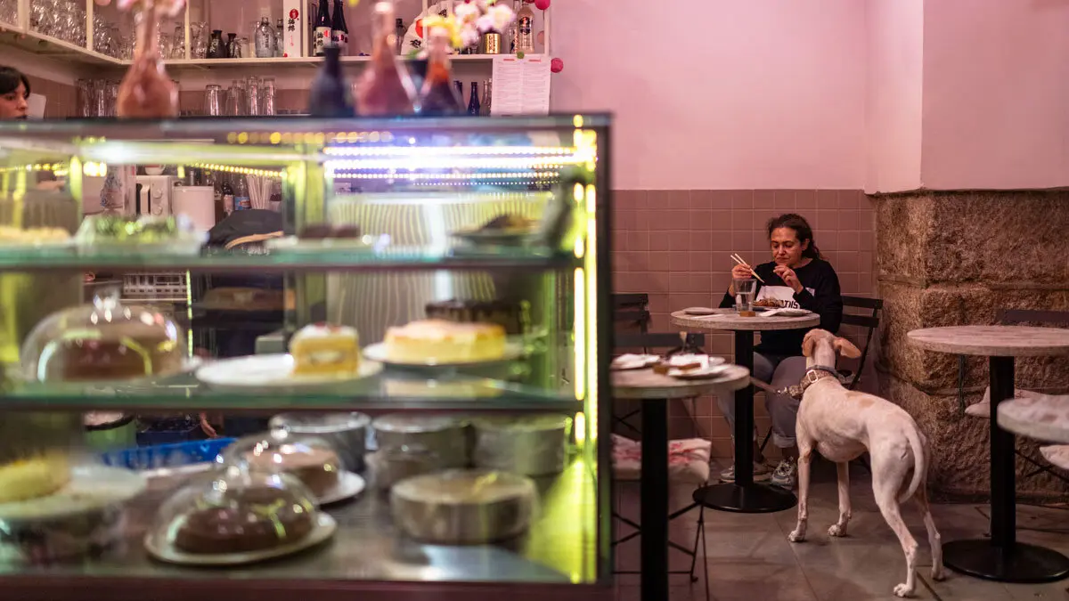 Imagen subida a Zaragoza Ciudad - image 8