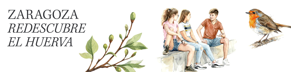 Imagen subida a Zaragoza Ciudad - 1000x250 1