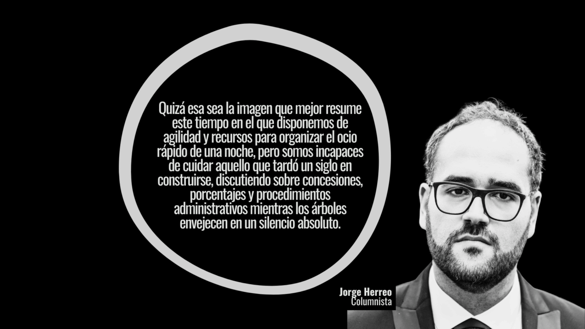 La herencia rota de los Pinares de Venecia 1 Imagen subida a Zaragoza Ciudad - Editorial Pai Horizontal 28 1