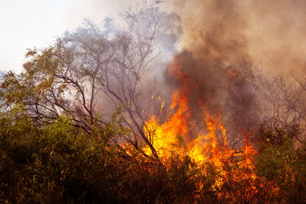 Incendios activos en Aragón: cuáles siguen ardiendo, qué los provocó y por qué se han extendido 4 incendios