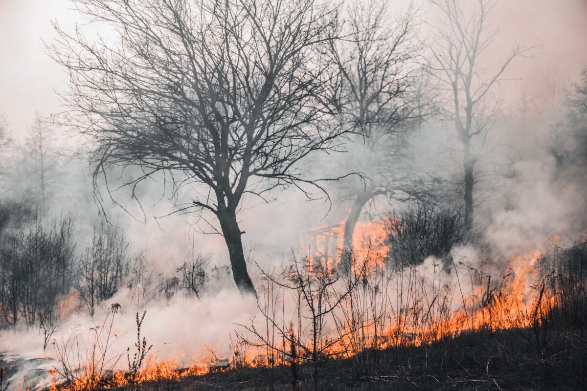Incendios activos en Aragón: cuáles siguen ardiendo, qué los provocó y por qué se han extendido 2 incendios