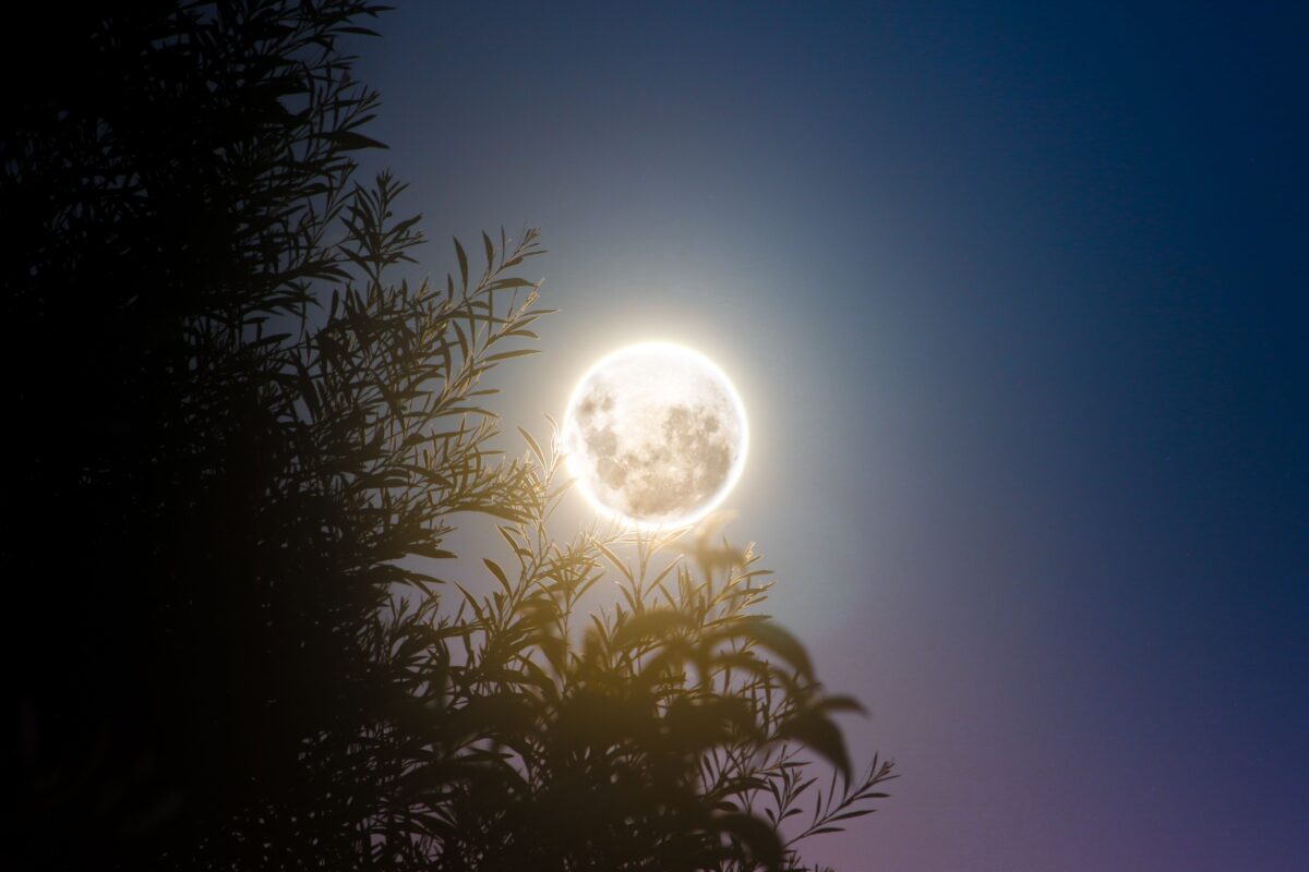 9 Curiosidades sobre el eclipse solar: un fenómeno histórico 2 eclipse
